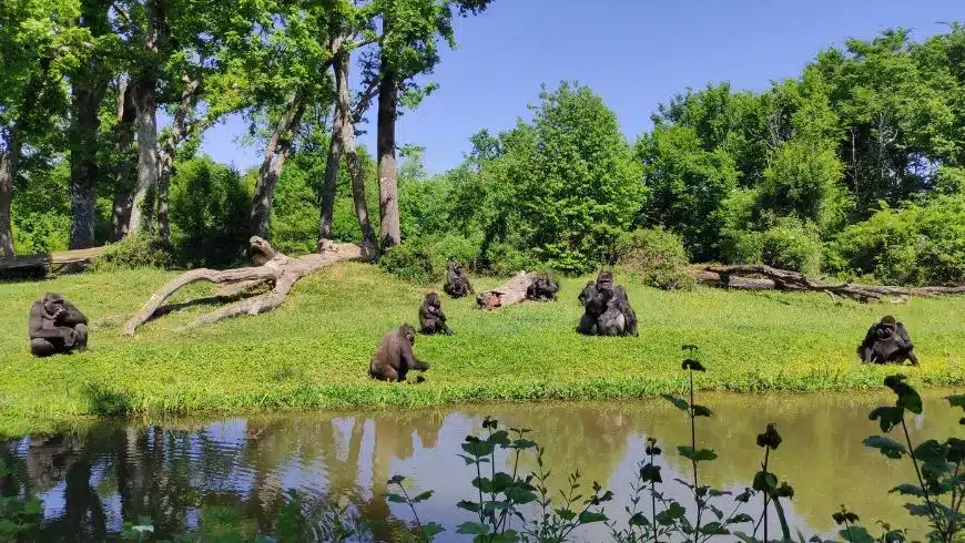Futuroscope de Poitiers dans la Vienne