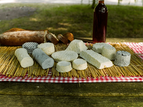 La C’Lait des Champs