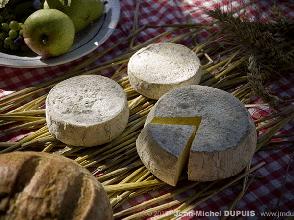 Vente à la ferme de fromages à pâtes molles 